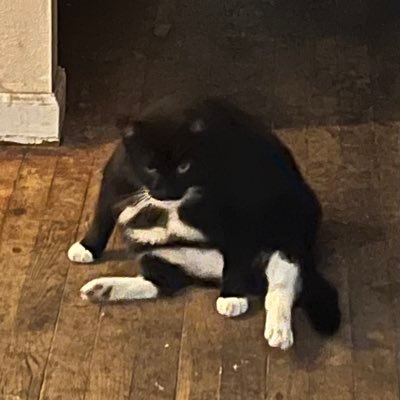 ATP_GMIT's profile picture. ‘undifferentiated vesicle of irritable matter.’ student pissed at Yale