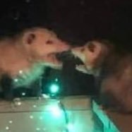 makingrealiti's profile picture. 