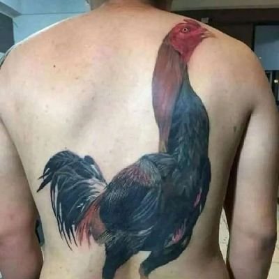 @kerakBe5i