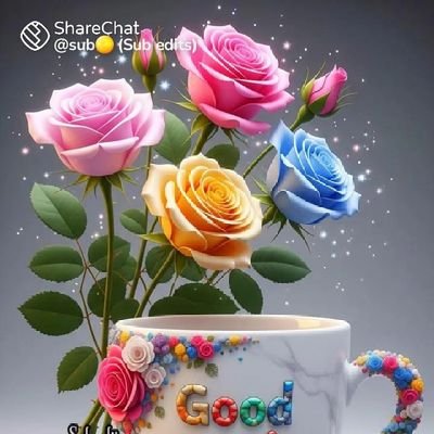 m_maveeran's profile picture. pavi