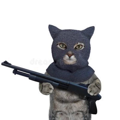 Tom998043947447's profile picture. Hello