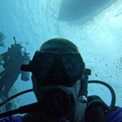 DavidCarro65836's profile picture. 