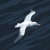 gs1905 (@hpamuk78750) Twitter profile photo gs1905 (@hpamuk78750) Twitter profile photo
