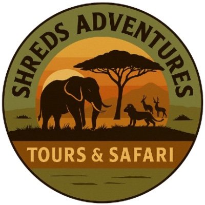Shredssafaris's profile picture. Family Tours, vacation, honeymoon, Camping
Contact us:
info@shredsadventures.co.ke