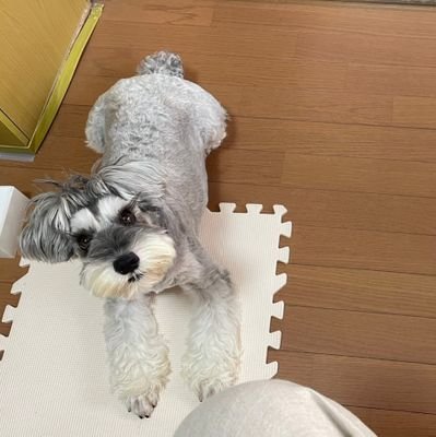 3r78iZSa99's profile picture. 