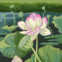 Nathan Cramer - @nath52928 - Twitter