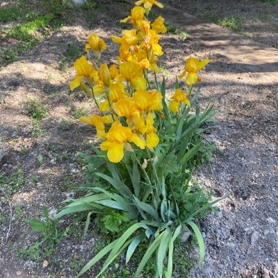 Jilka's profile picture. Gender equality is a social justice matter, not a social protection!