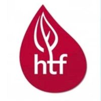 Hemostasia en X (@shtf_sedar) 's Twitter Profile Photo Hemostasia en X (@shtf_sedar) 's Twitter Profile Photo