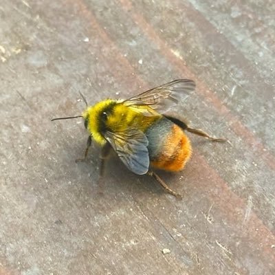 X8HO0km7ONMl7Lw's profile picture. 