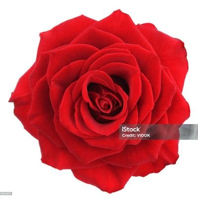 EscobarBia92743's profile picture. HOLA SOY ALIN 😘😍🥰🌺🌷🌹🇲🇽