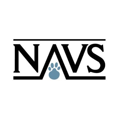 NAVSさんのプロフィール画像