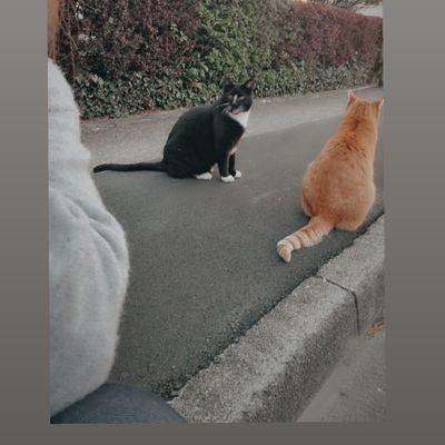 Nennaさんのプロフィール画像