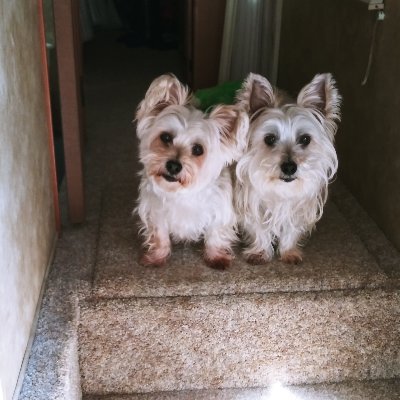 DotyVicki17757's profile picture. 