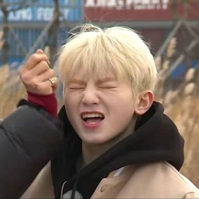 𖦹⭑.ᐟ woozi white cat truther & howoo enjoyer 𔘓𓂃 ࣪˖ ִֶ for ot13 #세븐틴 ゛ ⸝⸝.ᐟ⋆ en/fil, 18↑, any prns ᝰ.ᐟ