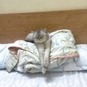 Ami Grace - @hasytruj1333 - Twitter