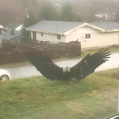 TarakLukken23's profile picture. Rugged Gentleman