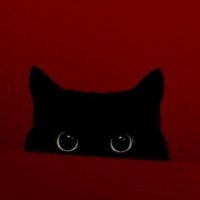 Teshuvoid🇵🇸 (@mbaplander) 's Twitter Profile Photo Teshuvoid🇵🇸 (@mbaplander) 's Twitter Profile Photo