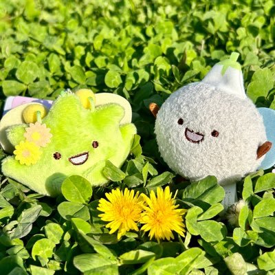 元さくら(@sakura_shokumo)です🌸お引越ししたので少しずつフォローさせてください💖成人済/すみっコぐらし/かえるのピクルス/にっこりーノ/ソシャゲいろいろ