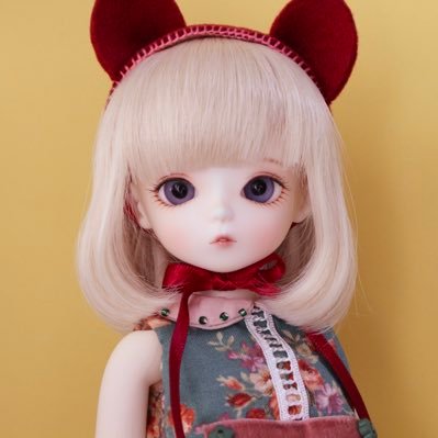 みさきのこさんのプロフィール画像