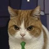 ๐ฉ๐ฎ๐น๐ฑ๐๐ป๐ (@atalosw) 's Twitter Profile