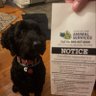MarkNagi's profile picture. Dad, @NYRangers fan, “Decade of Dysfunction” author. @SUNYGeneseo/@UTKnoxville grad. Owner of Bailey, the “Big Black Dog”