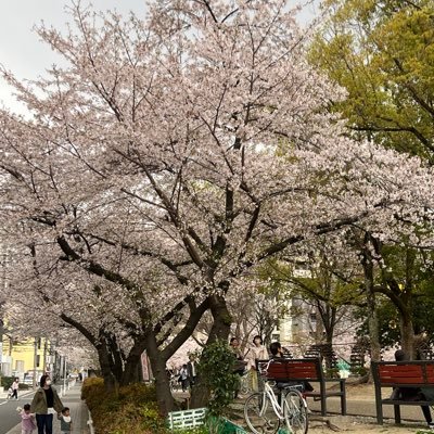 avNXK1usSW2046's profile picture. 周辺B済み