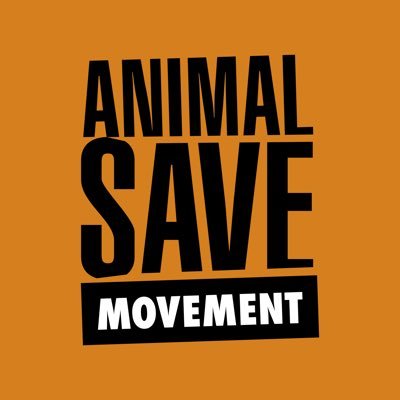 Animal Save Movement is global network of citizens who hold vigils for victims at slaughterhouses. Bear witness. Be Vegan. Get active. Sign the @Plant_Treaty