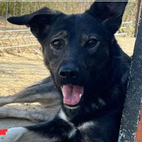 Jjuuko Peterson Gift (@jjuukogift) 's Twitter Profile