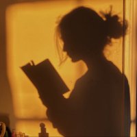 noa faye (@fayes_library) 's Twitter Profile