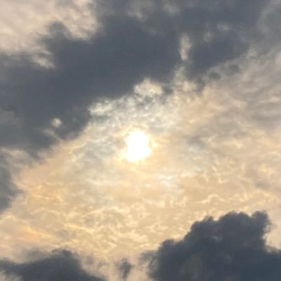 妄言を吐き出す扇風機さんのプロフィール画像