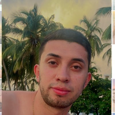 NicolasVargasF's profile picture. 💙🤍