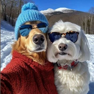 JoshuaDartez2's profile picture. 