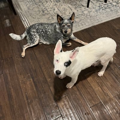 SlyBryanCabad's profile picture. 