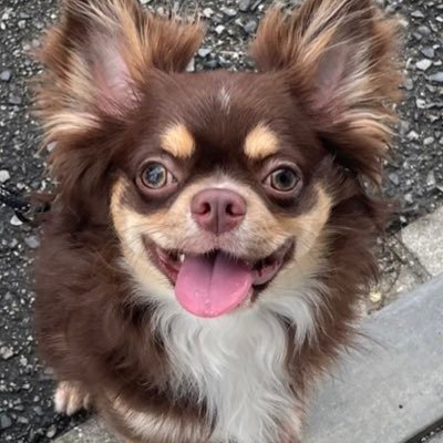 Ka(別垢で活動中)さんのプロフィール画像