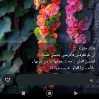M10 (@moammar59442) 's Twitter Profile