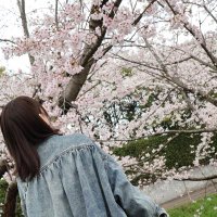 れお (@r__chikaaka) 's Twitter Profile