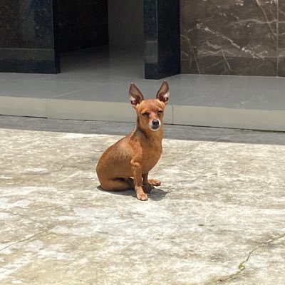 wendel_ran8511's profile picture. 