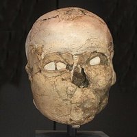 Holylander (@wholylander) 's Twitter Profile