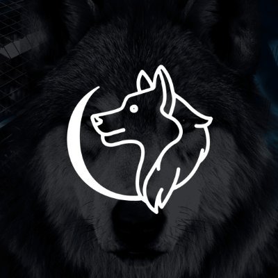 wolfdesignstx's profile picture. We are a firm that provides #consulting services, #project management and #CAD services for #building permits.