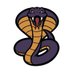 Cibolo Creek Middle School (@cibolocreekms) Twitter profile photo Cibolo Creek Middle School (@cibolocreekms) Twitter profile photo