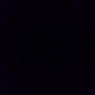 indianamaga68's profile picture. “The tree of liberty must be refreshed from time to time with the blood of patriots and tyrants.” — Thomas Jefferson