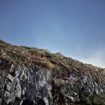 روبين! Profile