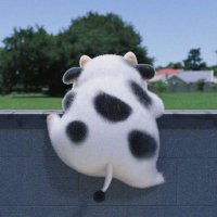 aull goes to fk (@aureclouds) 's Twitter Profile