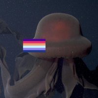 Lucy (@d33pseaphant0m) 's Twitter Profile