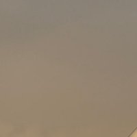 Zed 🍁 (@nublocker) 's Twitter Profile