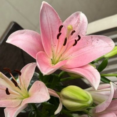 nf22r's profile picture. { وَقُلْ رَبِّ زِدْنِي عِلْمًا }
|📉|⚡️|#IAU #KAUST|🌟|🦾|
𝐍𝐞𝐯𝐞𝐫 𝐛𝐞𝐞𝐧 𝐦𝐨𝐫𝐞 𝐩𝐫𝐨𝐮𝐝𝐝𝐝𝐝𝐝!!!