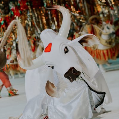 Esse perfil não é oficial. Criado por um perreché apaixonado pelo maior Boi-Bumbá de Parintins: @Garantido ♥️🐮 (33x🏆)