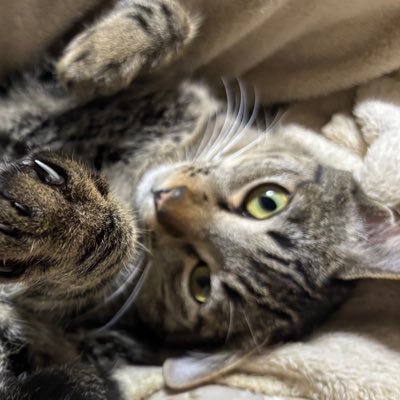 clip__cpa's profile picture. 