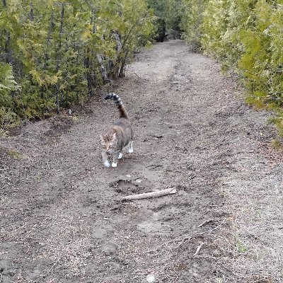 Indole245's profile picture. Syntharise Chem is directed towards innovation & discovering new molecules for study. We also develop our trademarked product; https://t.co/i8vmweZy8i (coming soon!)