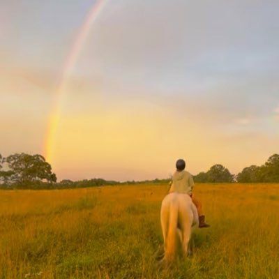 | 15 | Aspiring meteorologist/storm chaser🌪️ | Aurora Borealis: (2) Tornadoes: (1) | NSC! | Isaiah 62:4 | Storm Spotter for NWS St. Louis |